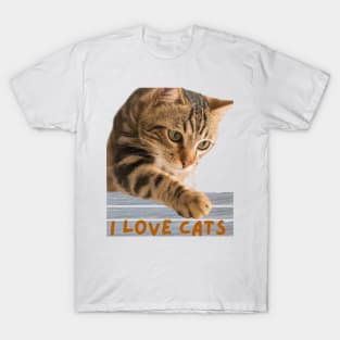 "I Love Cats" Collection. T-Shirt